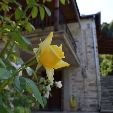 Semesterbostad Dionysis Chorefton