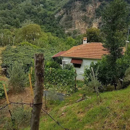 Dionysis Semesterbostad *