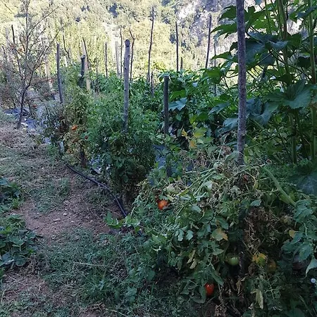 Dionysis Semesterbostad